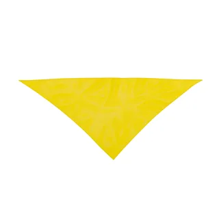 3029 - Pañoleta Plus