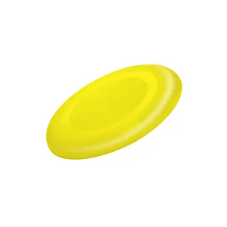 4579 - Frisbee Girox