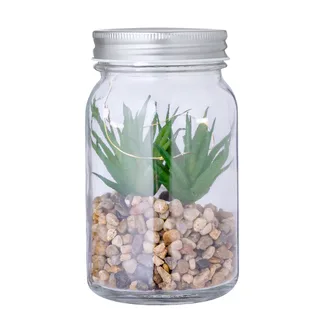20608 - Planta Decorativa Kyala