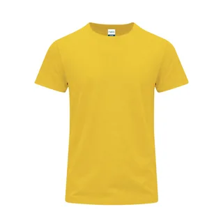 21840 - Camiseta Adulto Color Stiles
