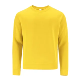 21951 - Sudadera Adulto Cosmos