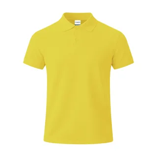 22339 - Polo Adulto Color Charles