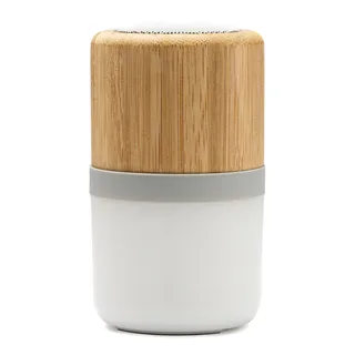 BS3195 - Altavoz OZCAN