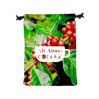 3779 - 9" W x 12" H Polyester Drawstring Bag