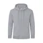 GRIS