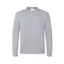 GRIS