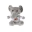 21463GRIS/T