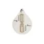 21583NATUS/T